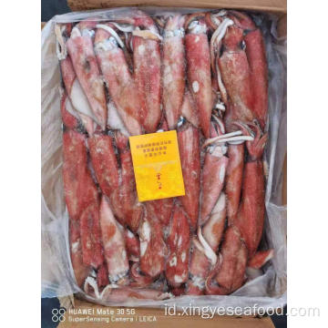 Beku Uroteuthis Chinensis Squid untuk Dijual13-18cm